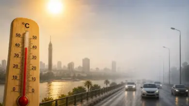 الأرصاد الجوية