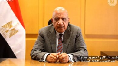 وزير الكهرباء