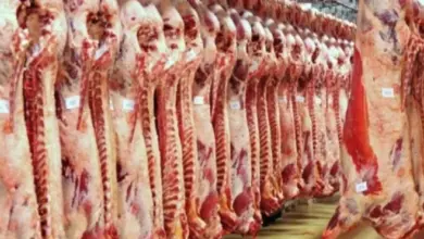 أسعار اللحوم اليوم