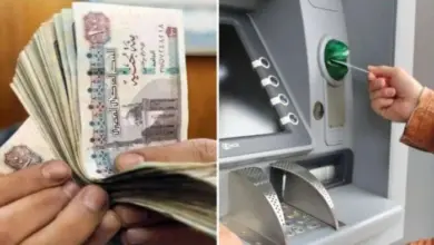 معاشات نوفمبر